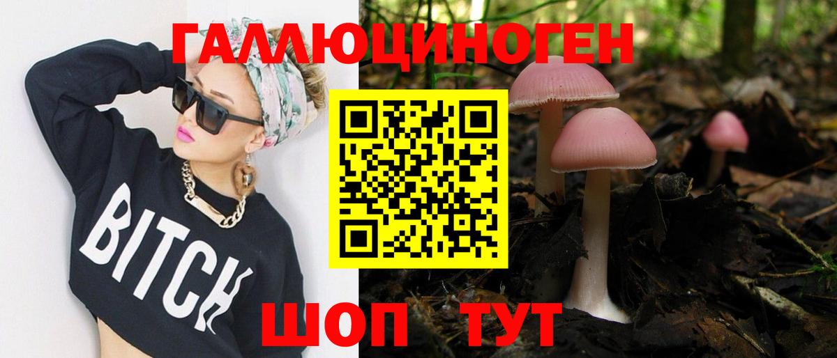 Губкинский  Псилоцибиновые грибы мухоморы  Вход с VPN 