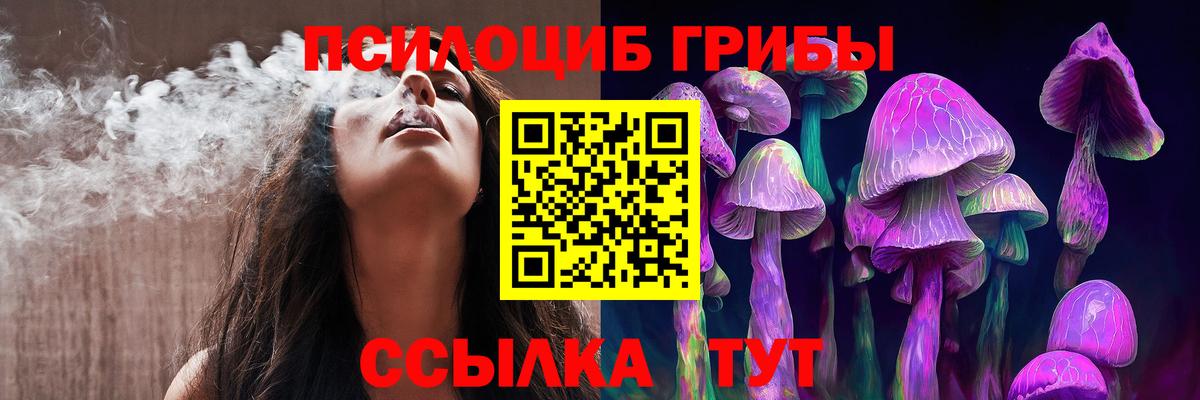 Псилоцибиновые грибы MAGIC MUSHROOMS Губкинский